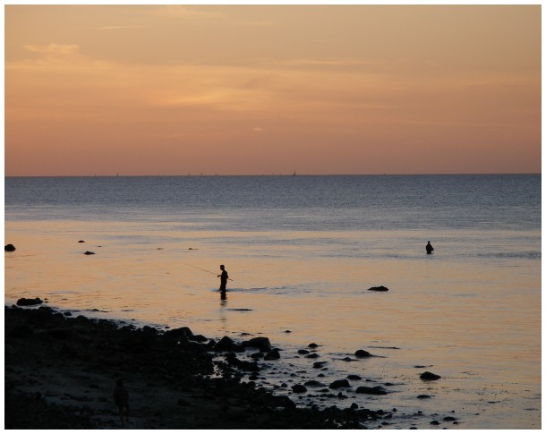 Fishing in the sunset