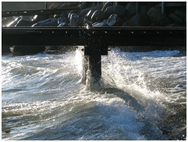 Waves on a windy day